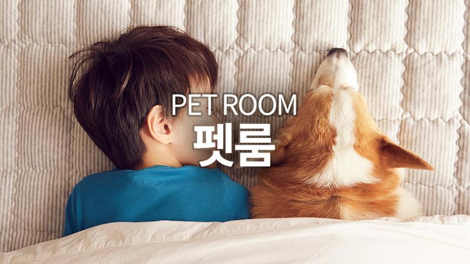 Pyeongchang The White Hotel Экстерьер фото